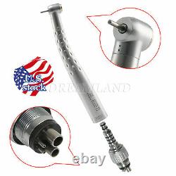 10 X Dental High Speed Handpiece with 4 Hole Quick Coupler Standard Head