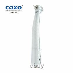 COXO CX207-G Dental H16-NTPQ Fiber Optic High Speed Handpiece Fit NSK Phatelus