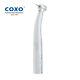 Coxo Dental Fiber Optic High Speed Handpiece 6 Hole Kavo Multiflex Led Coupler