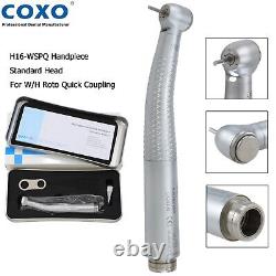 COXO Dental Fiber Optic High Speed Handpiece Turbine For WithH Roto Quick Coupling