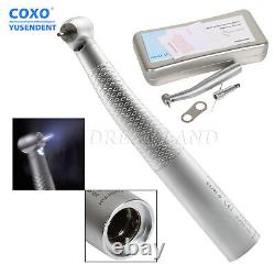 COXO Dental Fiber Optic LED High Speed Handpiece Fit KaVo NSK Sirona Coupler UK