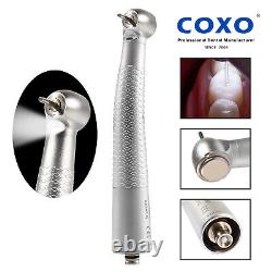 COXO Dental Fiber Optic LED Turbine Handpiece Fit KaVo /NSK 6H Coupling CX207 UK