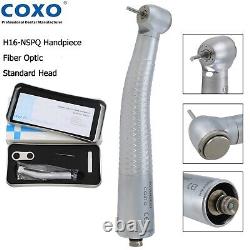 COXO Dental Fiber Optic Turbine Handpiece NSK Phatelus Mach LED Coupling 6 Hole