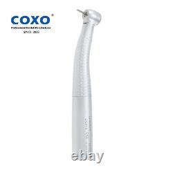 COXO Dental High Speed Handpiece Turbine Fiber Optic LED KaVo MULTIflex Coupling
