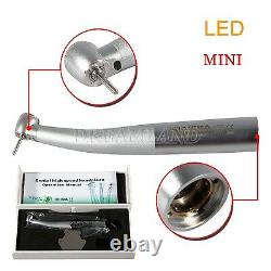 Dental LED Fiber Optic High Speed Handpiece MINI Small Head Fit KAVO Couper NMY1