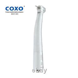 100% COXO Turbine Dentaire à LED à Fibre Optique Haute Vitesse Compatible avec Machlite Phatelus NSK