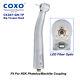 Coxo Cx207-g Dental H16-ntpq Fibre Optique Haute Vitesse S'adapte à La Pièce à Main Nsk Phatelus