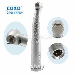 COXO Dental Fiber Optic LED High Speed Handpiece KSPQ uk<br/> Translate to French:  	 	<br/>  COXO Dentaire Fibre Optique LED Haute Vitesse Turbine KSPQ uk