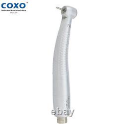 COXO Dental Self Power LED Handpiece CX207-F Turbine à Air Haute Vitesse 2/4H Compatible avec NSK