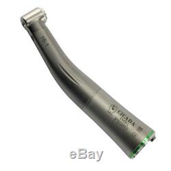 Dentaire Électrique Micro Moteur + 11/15/161 Fibre Optique Handpiece Contra Angle